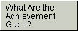What Are the Achievement Gaps?